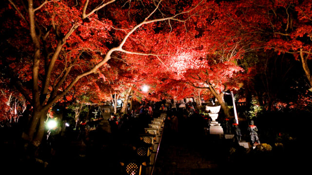 絶景 神奈川の紅葉の名所 大山 関東紅葉スポットランキング二位の景色をどうぞ じゅんあいチャンネルのwebサイト